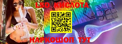 крисы Новозыбков