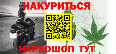 крисы Новозыбков
