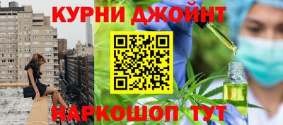 крисы Новозыбков