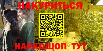 крисы Новозыбков