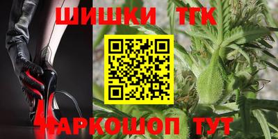 крисы Новозыбков