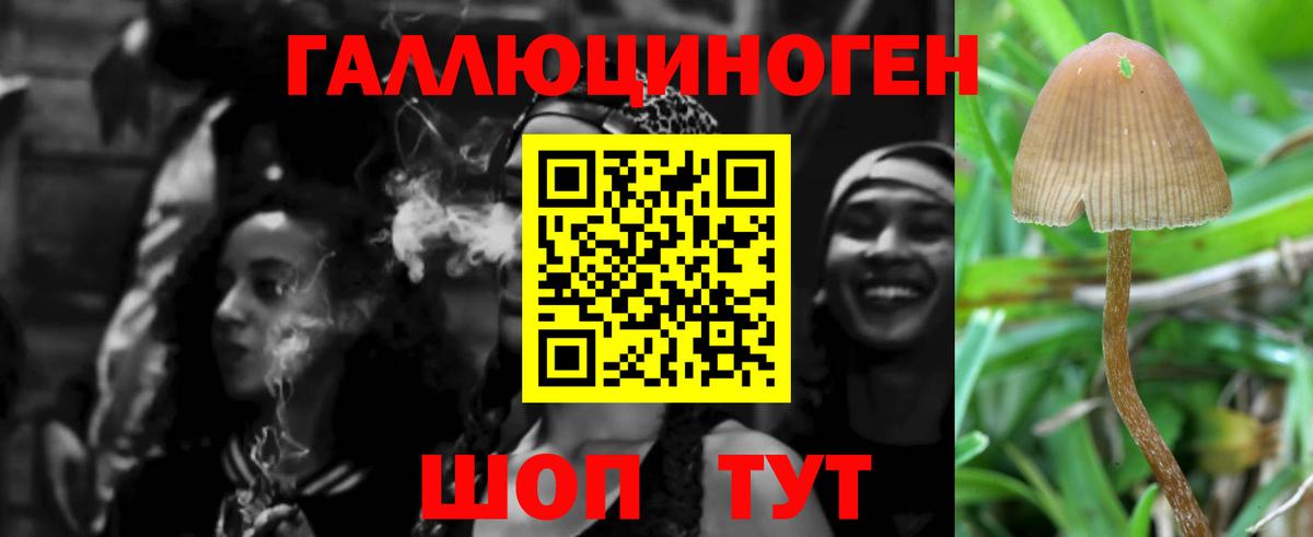 Псилоцибиновые грибы MAGIC MUSHROOMS  Вход с VPN  Саяногорск 